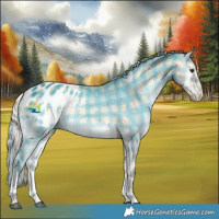 Horse Color:Plaid Silver Brown Onyx Sabino Tobiano Appaloosa Rabicano