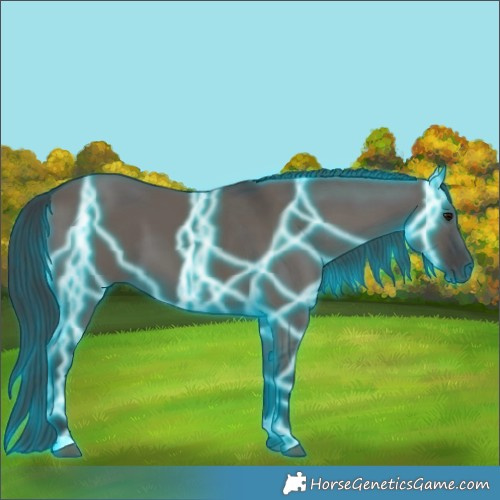Horse Color:Thunderstruck Smoky Grullo 
