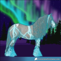 Horse Color:Thunderstruck Grullo Appaloosa Rabicano 