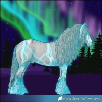 Horse Color:Thunderstruck Grullo Appaloosa Rabicano 