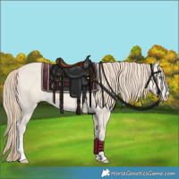 Horse Color:Smoky Creme Dun 
