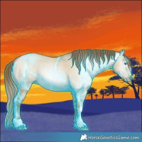 Horse Color:Gray Thunderstruck Smoky Grullo Pearl