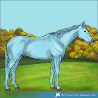 Horse Color:Watercolor Smoky Black 