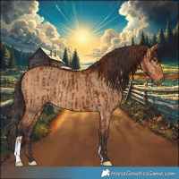 Horse Color:Chestnut  and Bay Dun 