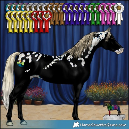 Horse Color:Watercolor Red Ice Roan Splash Appaloosa 