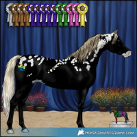 Horse Color:Watercolor Red Ice Roan Splash Appaloosa 