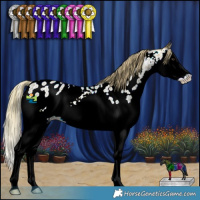 Horse Color:Watercolor Red Ice Roan Splash Appaloosa