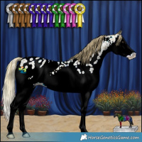 Horse Color:Watercolor Red Ice Roan Splash Appaloosa