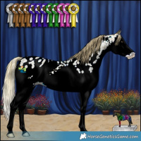 Horse Color:Watercolor Red Ice Roan Splash Appaloosa