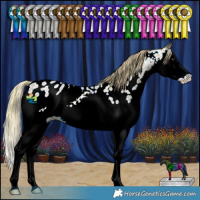 Horse Color:Watercolor Red Ice Roan Splash Appaloosa 