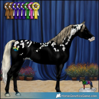 Horse Color:Watercolor Red Ice Roan Splash Appaloosa 