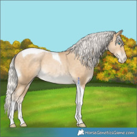 Horse Color:Silver Buckskin Pearl Tobiano