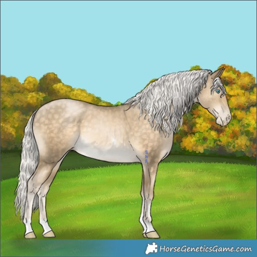 Horse Color:Silver Buckskin Pearl Tobiano 