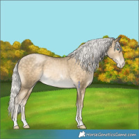 Horse Color:Silver Buckskin Pearl Tobiano 