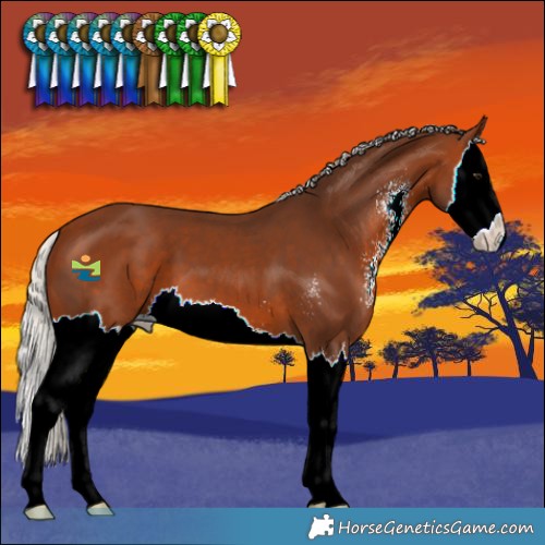 Horse Color:Silver Brown Sabino Splash 