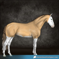Horse Color:Amber Cream Champagne Splash