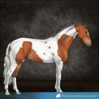 Horse Color:Silver Bay Tobiano
