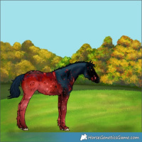 Horse Color:ERROR: UNKNOWN ANOMALY