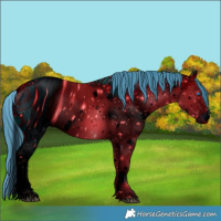 Horse Color:ERROR: UNKNOWN ANOMALY