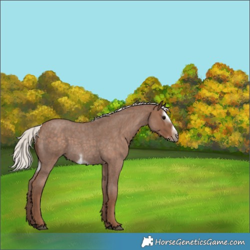 Horse Color:Silver Blue Roan Sabino Frame