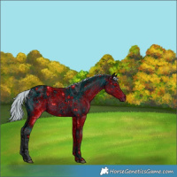 Horse Color:ERROR: UNKNOWN ANOMALY