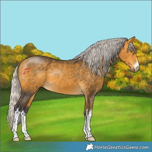 Horse Color:White Spotted Silver Buckskin 