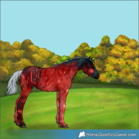 Horse Color:ERROR: UNKNOWN ANOMALY