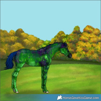 Horse Color:ERROR: UNKNOWN ANOMALY