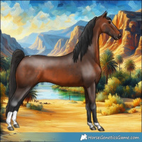 Horse Color:Brown Tobiano Rabicano 