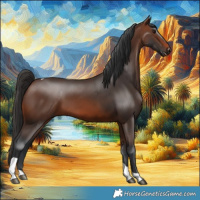 Horse Color:Brown Tobiano Rabicano 