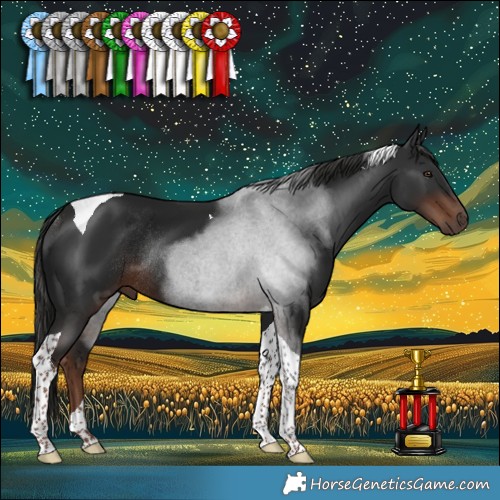 Horse Color:Liver Chestnut Tobiano Rabicano 