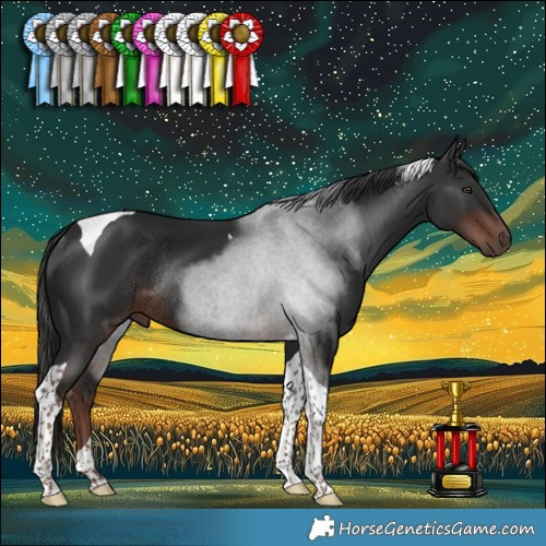 Horse Color:Liver Chestnut Tobiano Rabicano 