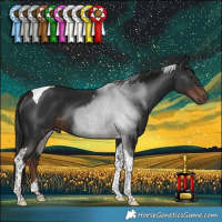 Horse Color:Liver Chestnut Tobiano Rabicano 