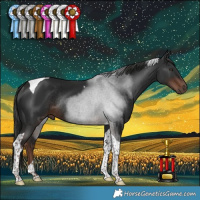 Horse Color:Liver Chestnut Tobiano Rabicano 