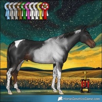 Horse Color:Liver Chestnut Tobiano Rabicano