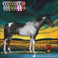 Horse Color:Liver Chestnut Tobiano Rabicano