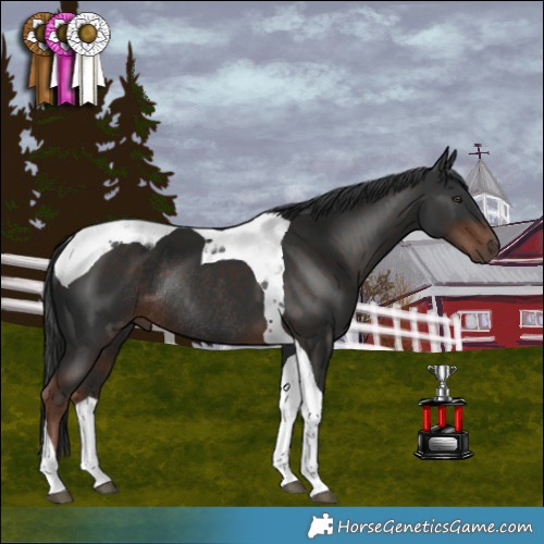 Horse Color:Liver Chestnut Tobiano Rabicano 