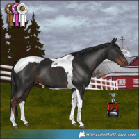 Horse Color:Liver Chestnut Tobiano Rabicano 