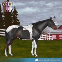 Horse Color:Liver Chestnut Tobiano Rabicano 