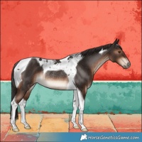 Horse Color:Liver Chestnut Tobiano Rabicano 