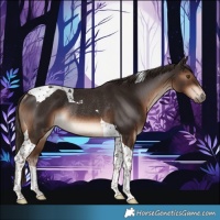Horse Color:Liver Chestnut Tobiano Rabicano