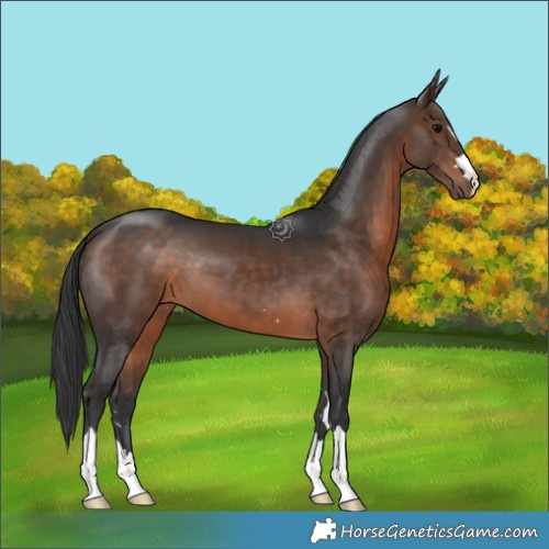 Horse Color:Brown 
