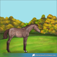 Horse Color:Platinum Chocolate Bay 
