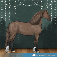 Horse Color:Liver Red Dun 