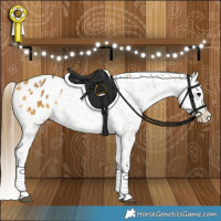 Horse Color:Buckskin Snowflake Varnish 