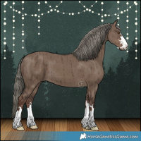Horse Color:Liver Red Dun Mushroom Brindle 