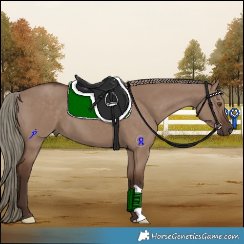 Horse Color:Liver Red Dun Mushroom 