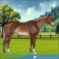 Horse Color:Silver Brown Rabicano 