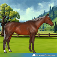 Horse Color:Silver Brown Rabicano 