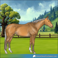 Horse Color:Silver Buckskin 